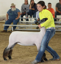 ijclc fall spectacular
