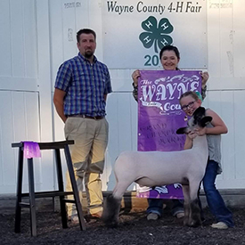 Slick Club Lambs Winners